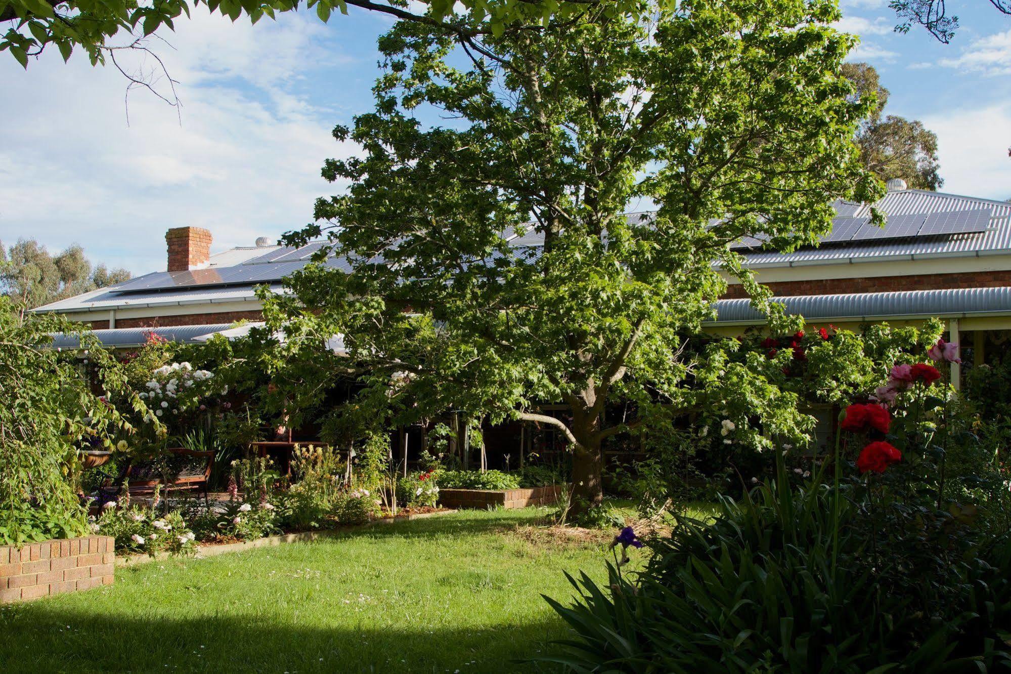 Holly Lane Mews Motel ยาร์ราเกลน ภายนอก รูปภาพ
